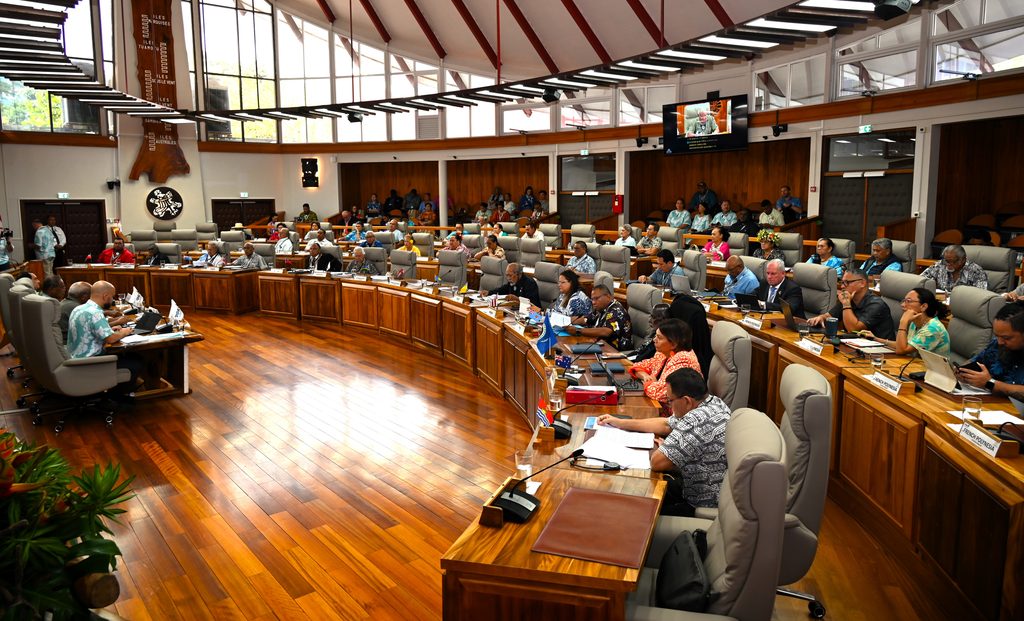 PIPA’s second day of proceedings: activity report, parliamentary diplomacy, budget and rules of procedure adopted